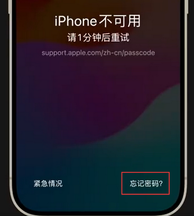 会东苹果手机密码维修分享iPhone忘记了刚设置的密码 