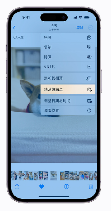会东苹果手机维修分享iOS 16 小技巧 